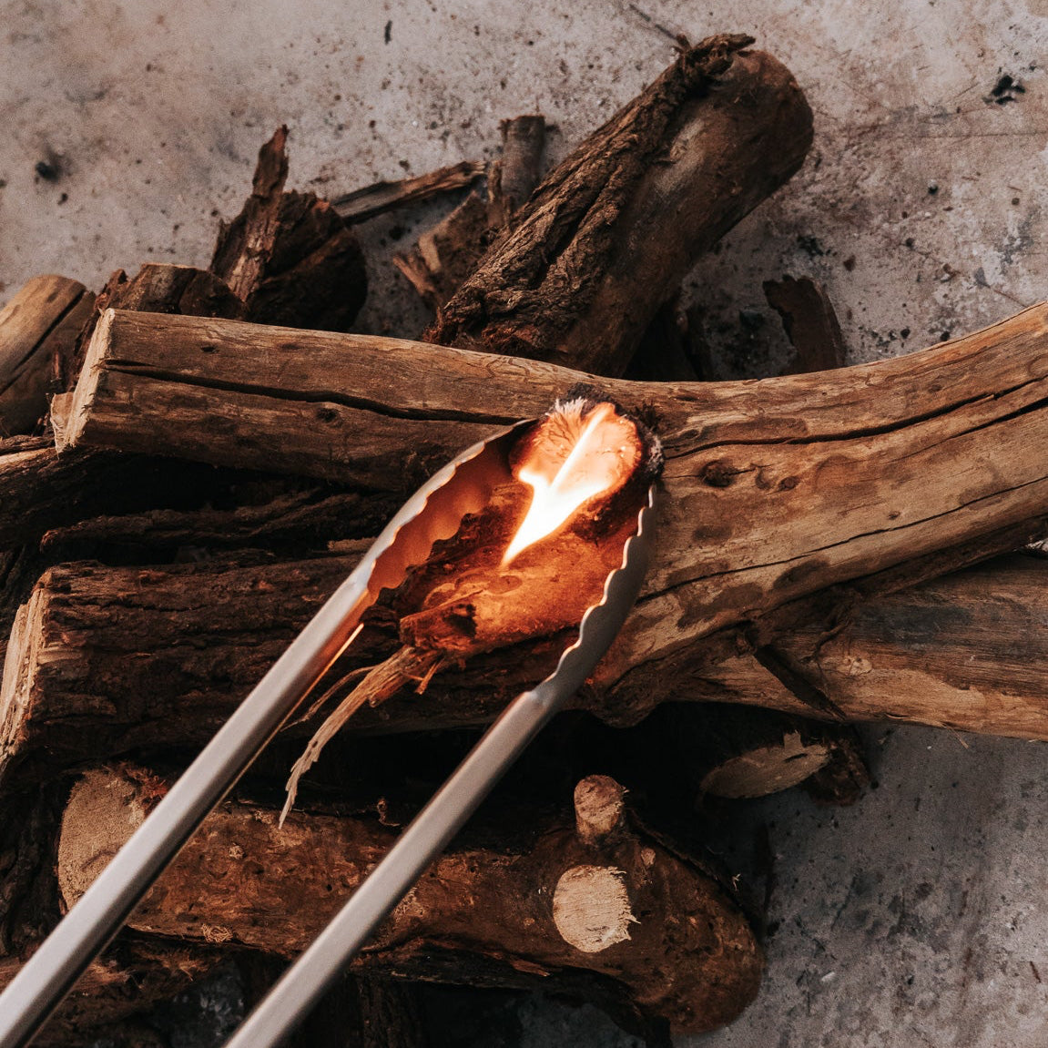 Auction Ticket &amp; Box of Rhino Lights