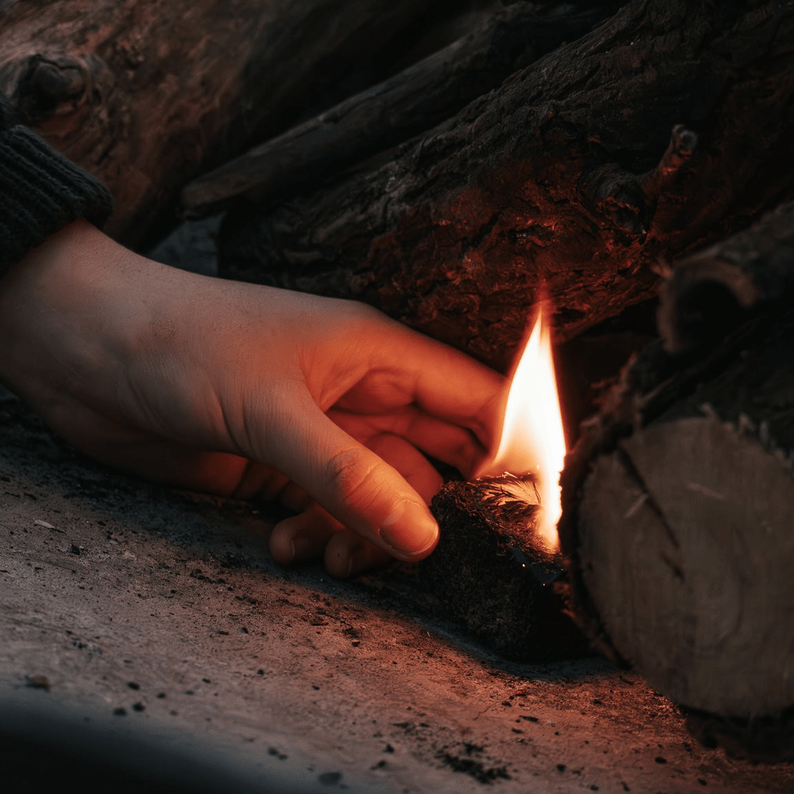 Box of Rhino Lights - Donkey Long Tong